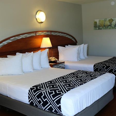 Monte Carlo Inn- Near Disney 基西米 外观 照片